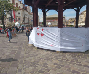 Dzień Wolności i Praw Obywatelskich w Rzeszowie