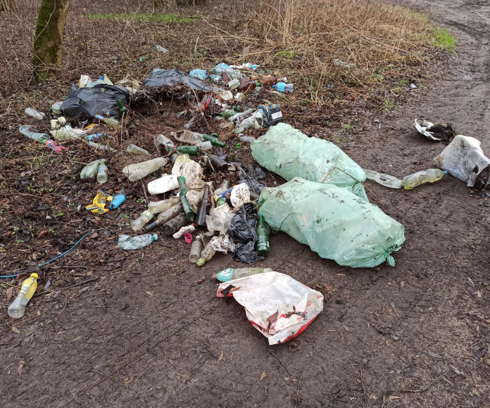 Będą sprzątały. Nad Wisłą w Toruniu niestety jest co... [AUDIO]