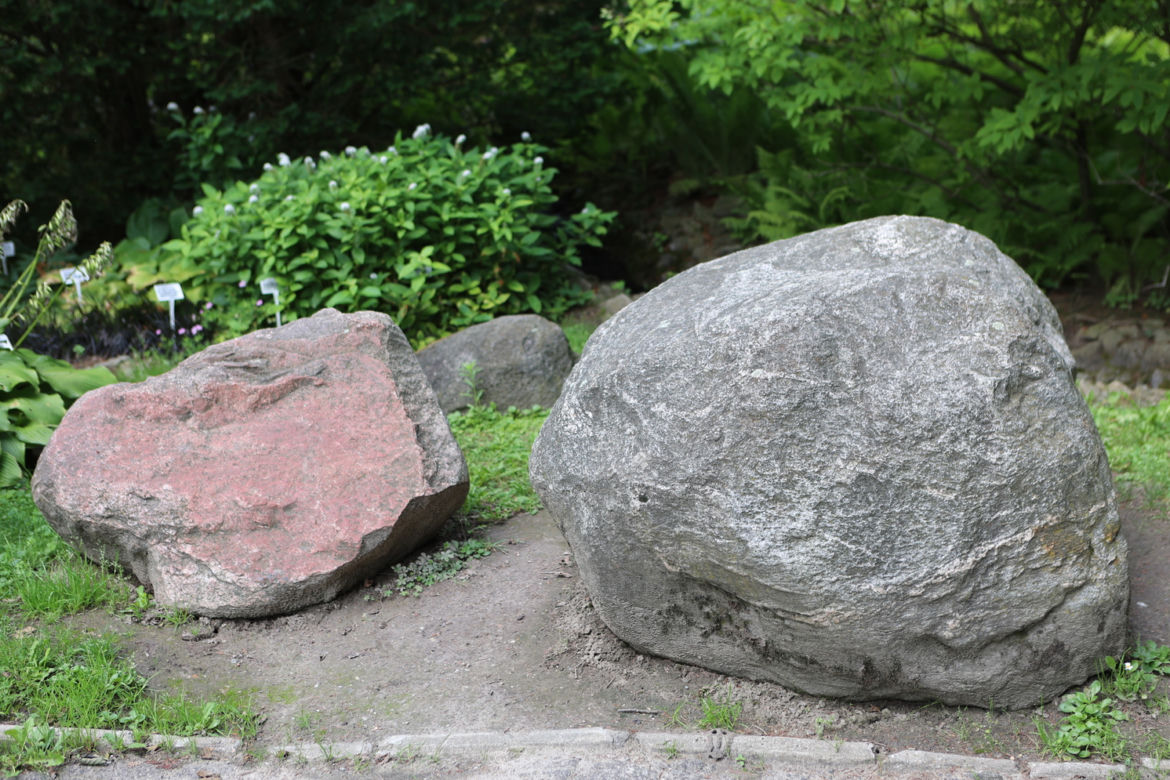 Kwitnący Ogród Botaniczny UMCS w Lublinie
