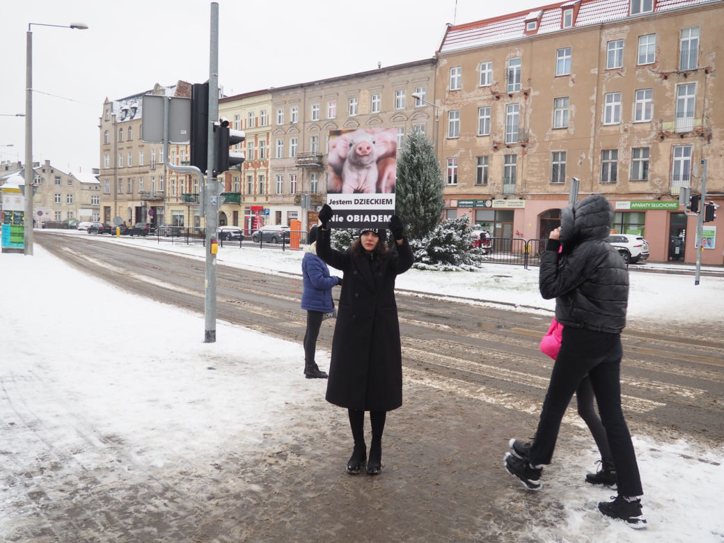 W Grudziądzu manifestowali aktywiści na rzecz zwierząt
