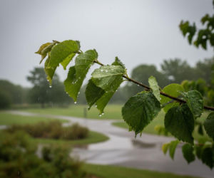 Pogoda na weekend w Bydgoszczy 3-5 kwietnia. Po chłodnym początku nadejdzie duże ocieplenie