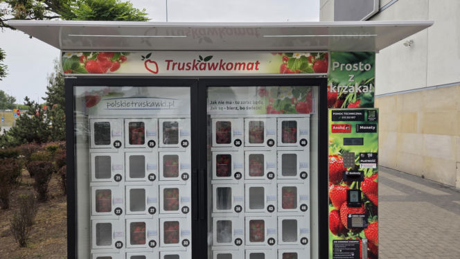 Musisz to zobaczyć! W Warszawie stanął truskawkomat. Owoce prosto z pola o każdej porze dnia i nocy!