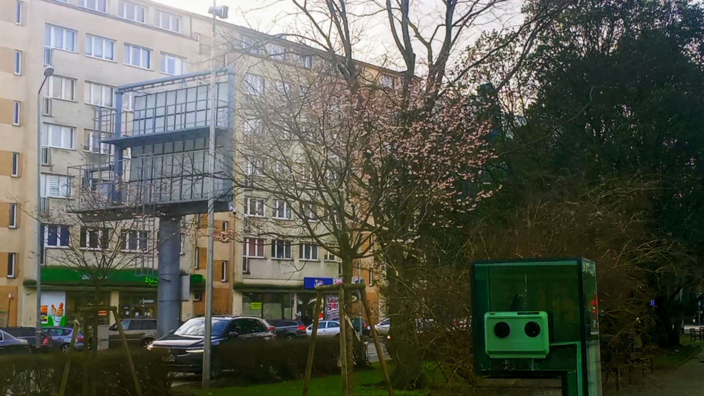 Uderzenie wiosny w Szczecinie. Nie tylko krokusy budzą się do zycia