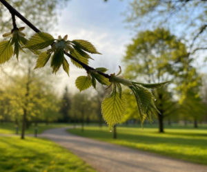 Pogoda na weekend w Rzeszowie 3-5 kwietnia 2026. Nadchodzi słoneczna sobota i wyraźnie cieplejsza niedziela
