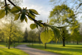 Pogoda na weekend w Rzeszowie 3-5 kwietnia 2026. Nadchodzi słoneczna sobota i wyraźnie cieplejsza niedziela