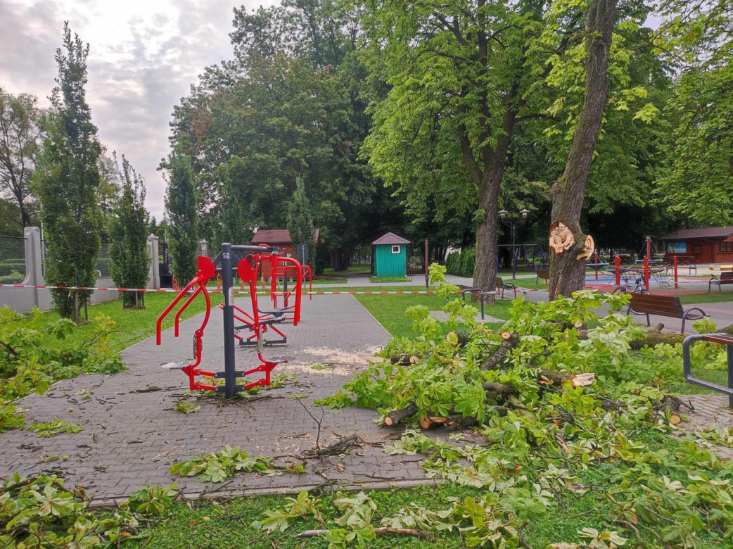 Tarnów. Dziewczynka uderzona przez zerwany konar. Koszmar na placu zabaw w Parku Strzeleckim
