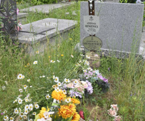 Straszny widok na grobie Barbary Sienkiewicz