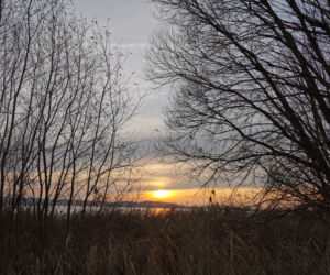 Koniec dnia. Koniec jesieni 2020