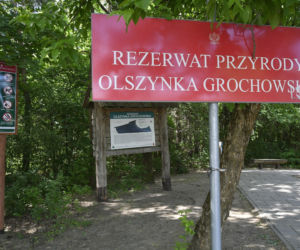 Kolejarze zabiorą mieszkańcom jedyne dojście do rezerwatu. Nie ma pieniędzy na tunel pod torami