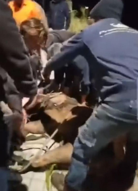 Lew uciekł z cyrku! Przez siedem godzin terroryzował miasto. Zwierz pojmany!