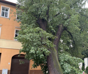 Burze spustoszyły Dolny Śląsk. Setki interwencji strażaków i ewakuacja obozów harcerskich