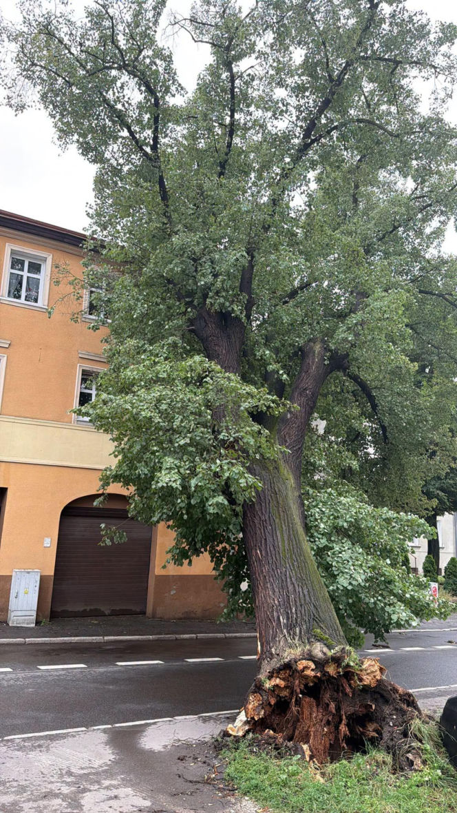 Burze spustoszyły Dolny Śląsk. Setki interwencji strażaków i ewakuacja obozów harcerskich