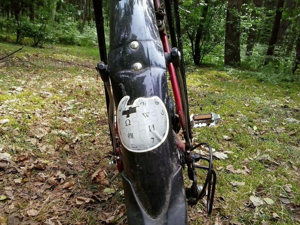 4. Puszcza Zielonka
