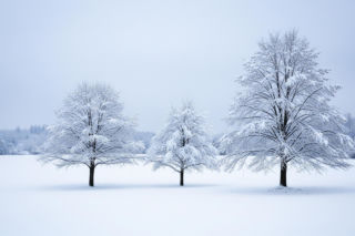 Silne mrozy na Boże Narodzenie. Czy zima zaskoczy nas w ostatniej chwili?