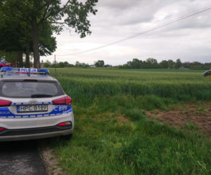 Ojciec z córką zginęli na drzewie