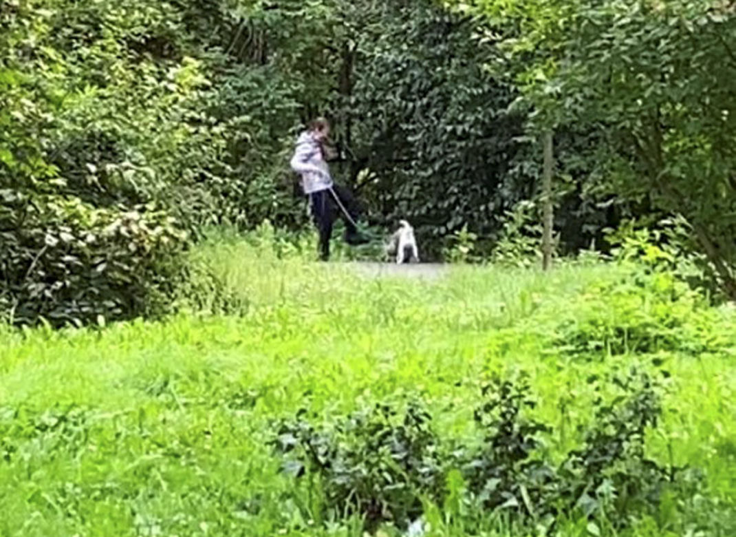 Bestialsko znęcała się nad psami. Po kopnięciu, zwierze wydało głośny pisk