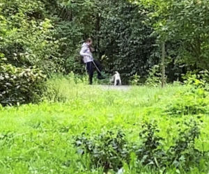 Bestialsko znęcała się nad psami. Po kopnięciu, zwierze wydał głośny pisk