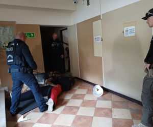 Psy służbowe, szkolenia i strefa pierwszej pomocy. Trwa drugi dzień CERBERUS K9 w Ostrowie