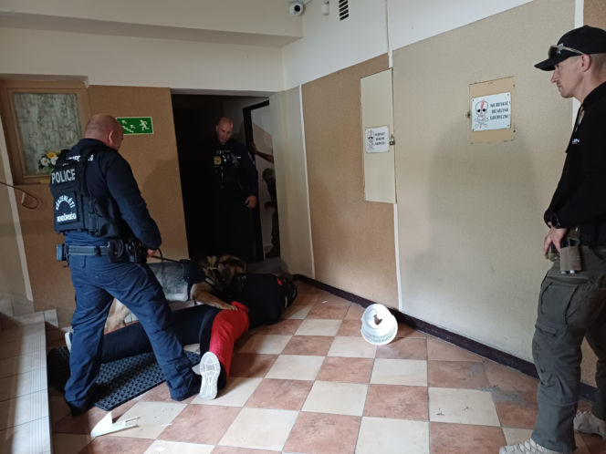 Psy służbowe, szkolenia i strefa pierwszej pomocy. Trwa drugi dzień CERBERUS K9 w Ostrowie
