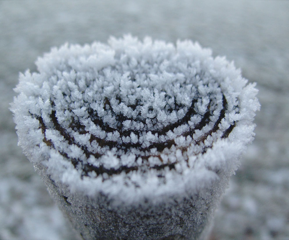 Na Śnieżce już biało! Zima jesienią w Karkonoszach (zdjęcie poglądowe)