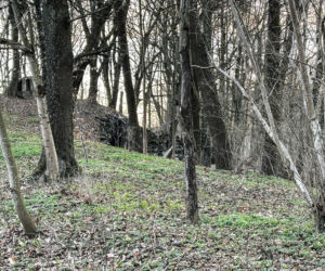 Rzeźba warta fortunę znaleziona w domu celebrytki? Nowe ustalenia po ćwierć wieku