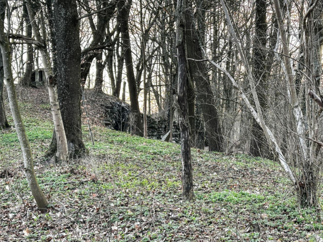 Rzeźba warta fortunę znaleziona w domu celebrytki? Nowe ustalenia po ćwierć wieku