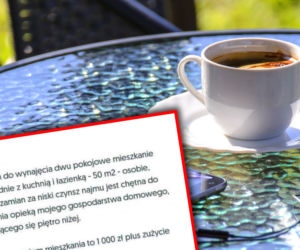 Mieszkanie do wynajęcia na szczecińskim Pogodnie. To ogłoszenie jest HITEM Internetu!