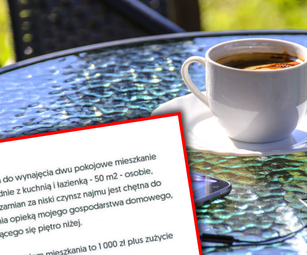 Mieszkanie do wynajęcia na szczecińskim Pogodnie. To ogłoszenie jest HITEM Internetu!