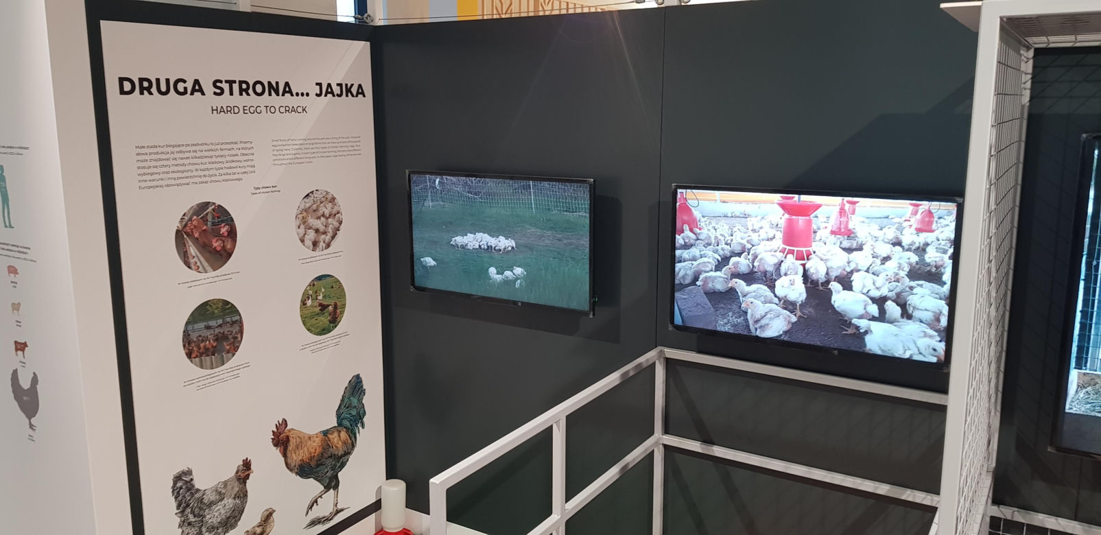 Otwarcie Centrum Nauki Kortosfera w Olsztynie. Bilety już dostępne! Ile kosztują?