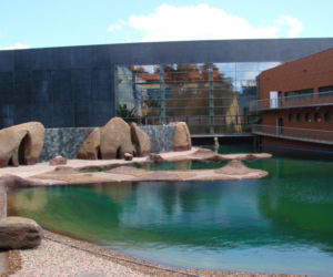Nowa inwestycje we Wrocławiu: Afrykarium