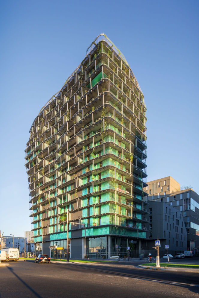 Zielone fasady odmieniają miasta