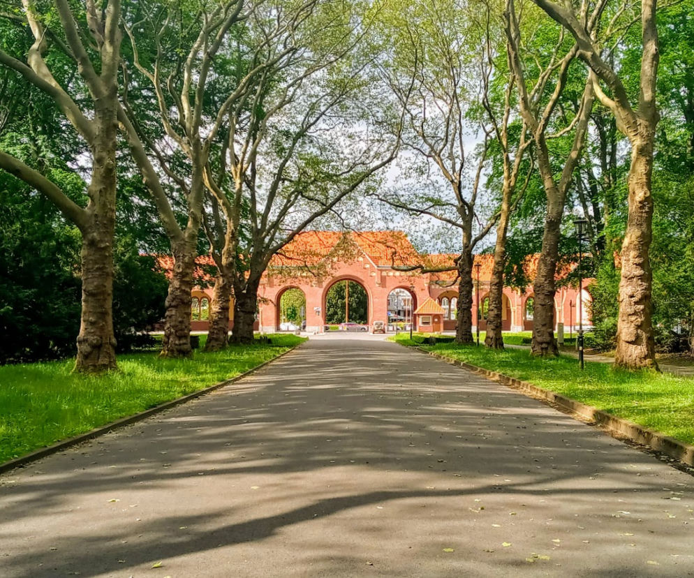 Atrakcje turystyczne Szczecina - Cmentarz Centralny