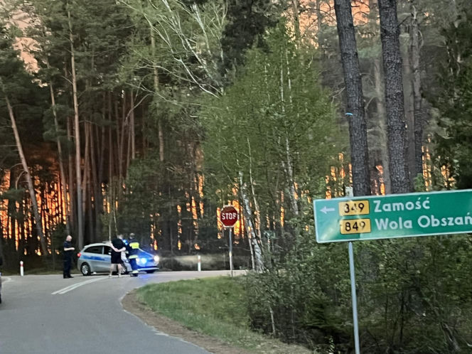 Ogromny pożar na Lubelszczyźnie! Płonie Puszcza Solska. Setki strażaków w akcji