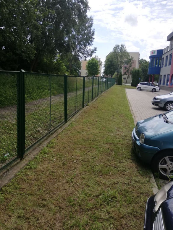 Starachowiczanie w czynie społecznym sprzątają miasto/ZEC MZK