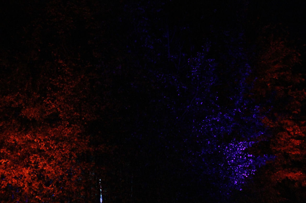 Byliśmy na otwarciu Lumina Park 2024 w Zamku Topacz