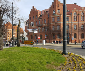 Toruń miastem zieleni?