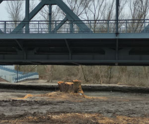 Skandal! Po co ta dewastacja? Wycięto mnóstwo starych drzew nad Wisłą