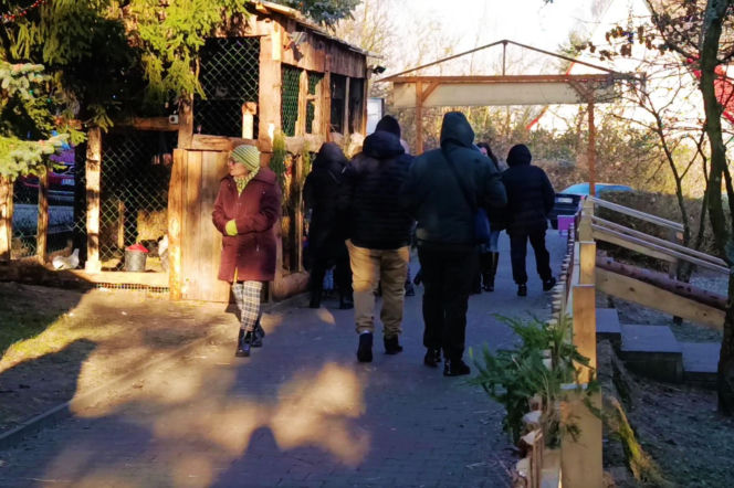 Żywa szopka w Żydowcach