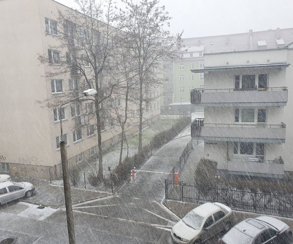 Atak zimy w Toruniu! Utrudnienia dla kierowców 