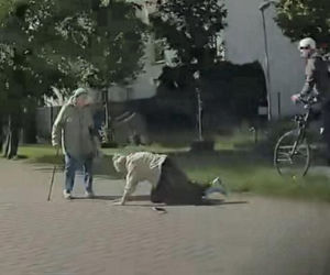 Rowerzysta zaatakował seniorkę