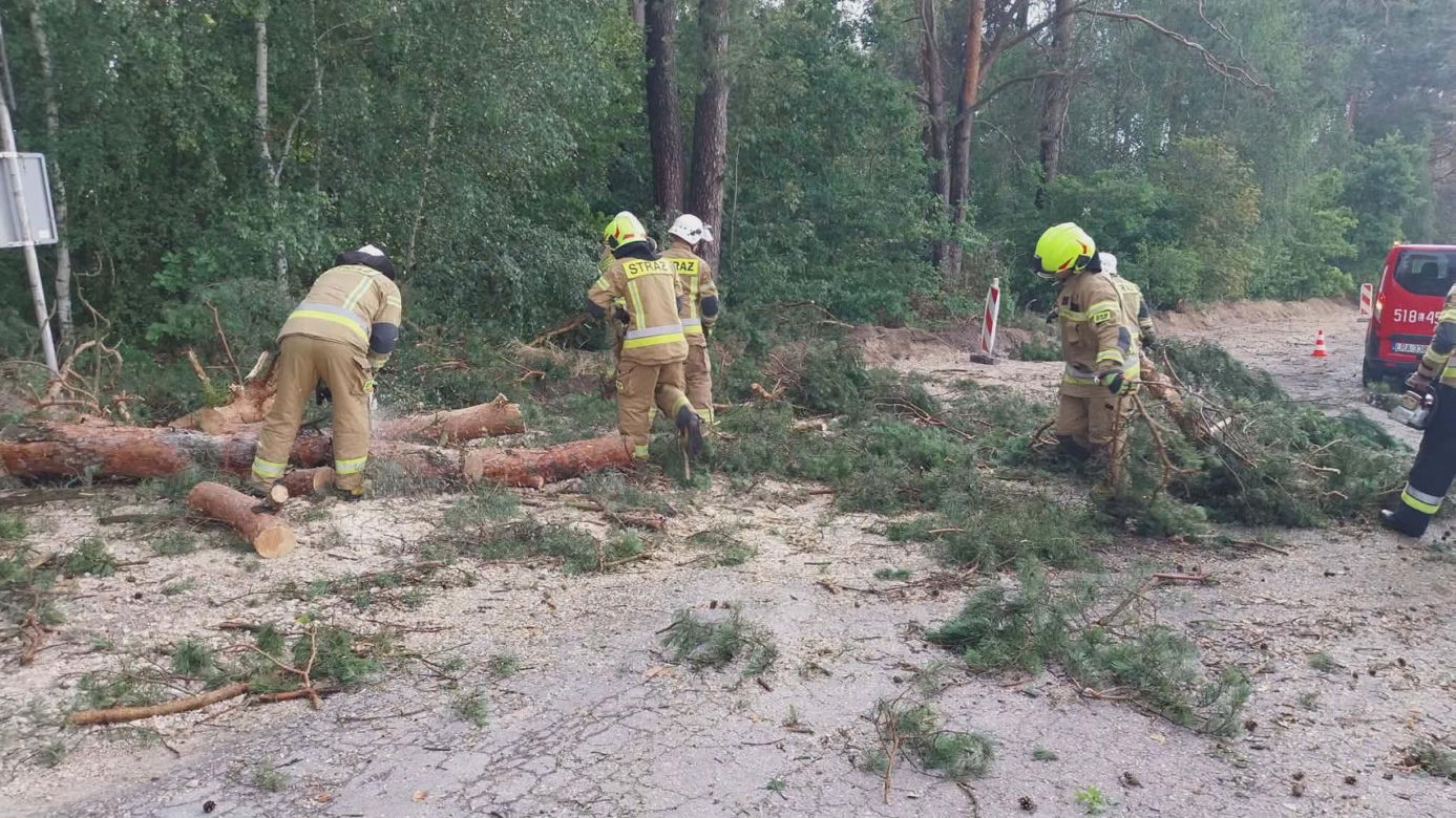 Krajobraz jak po apokalipsie! Potężne burze przeszły przez Polskę