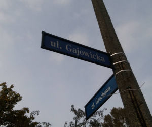 Gajowicka