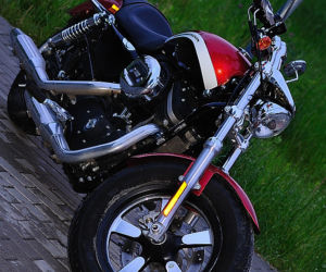 Harley-Davidson Sportster 1200 Custon CA