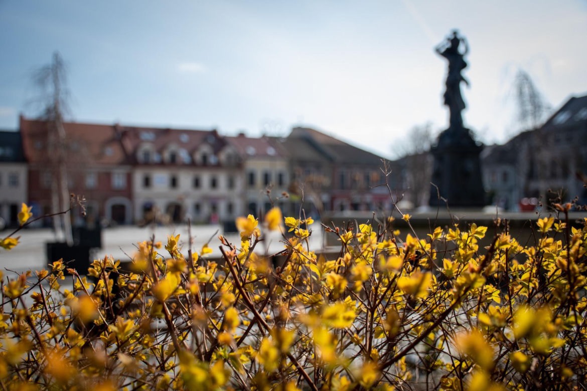 8. Myślenice, Dobczyce, Sułkowice