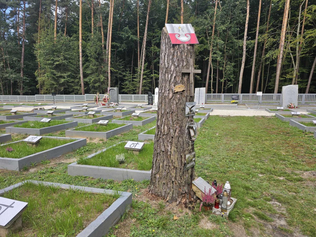  Żydzi zamordowani z Rodzina Ulmów spoczęli w Jagielle 
