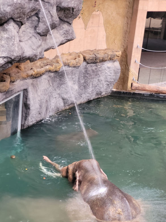 Orientarium Łódź ZOO