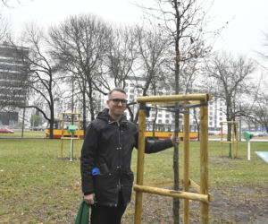 Powstańcy zapuścili korzenie. 20 drzew dla bohaterów w parku na Woli