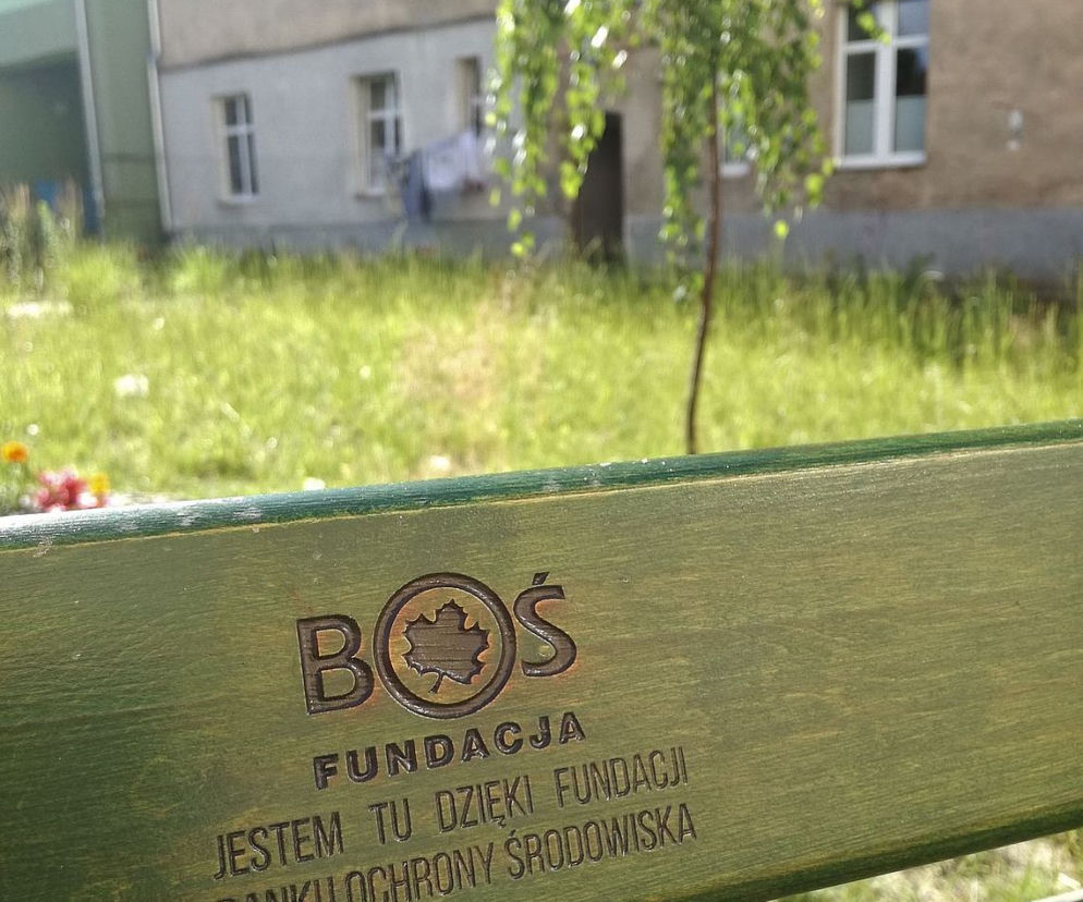 Następne zielone ławeczki dla Olsztyna? Organizatorzy konkursu czekają na zgłoszenia