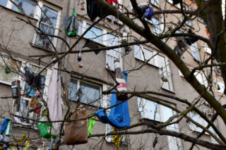 Szczecin: Drzewo obrosło ŚMIECIAMI! To NIE JEST artystyczna bożonarodzeniowa choinka! [ZDJĘCIA, WIDEO]