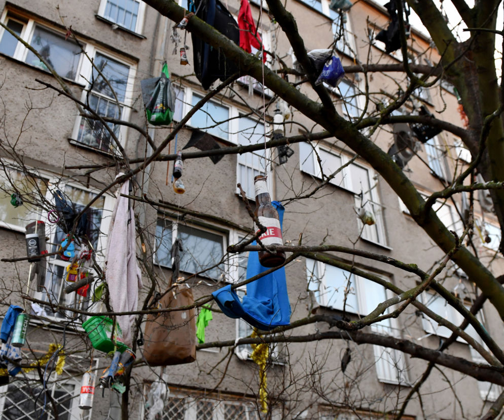 Szczecin: Drzewo śmietnik